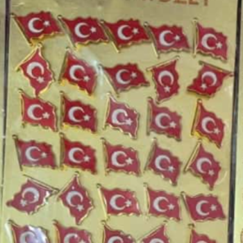 METAL YAKA ROZETİ DALGALI BAYRAK 30LU *23nisan *29ekim