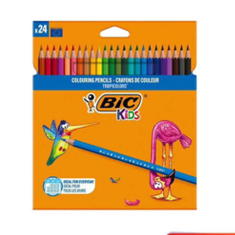 BİC 2510 KURUBOYA KALEMİ 24 RENK TAM BOY