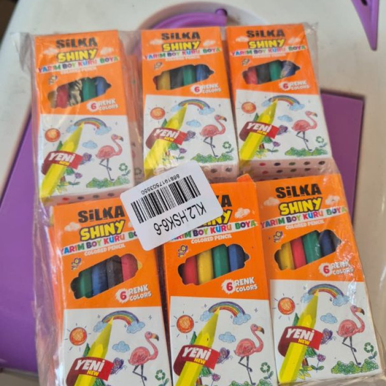 SİLKA KL2.HSK6-6 SHINY KISA KURU BOYA 6 RENK 36'LI