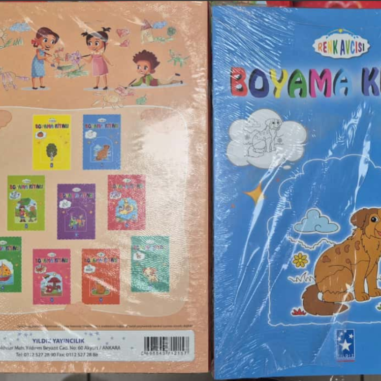RENK AVCISI YILDIZ BOYAMA KİTABI 10'LU*30