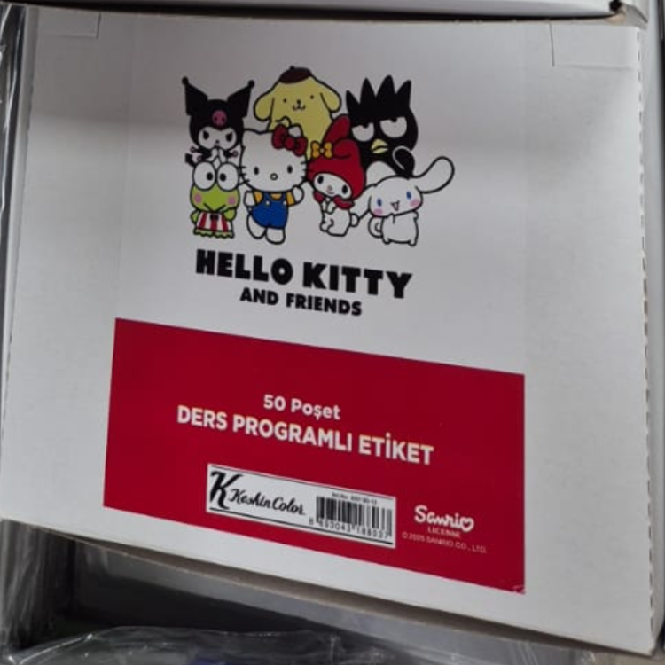 KESKİN HELLO KİTTY DERS PROGRAMLI 3 LÜ ETİKET 50 Lİ ^