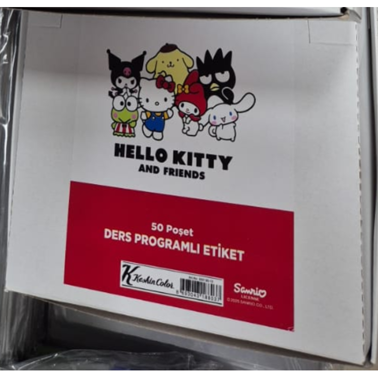 KESKİN HELLO KİTTY DERS PROGRAMLI 3 LÜ ETİKET 50 Lİ ^