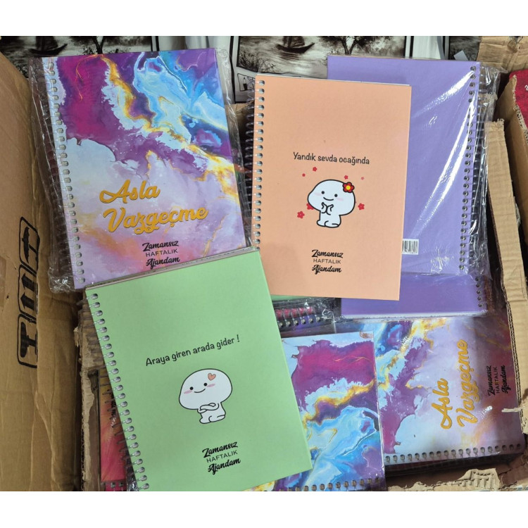 SİNGLE COLOR 17X24 ZAMANSIZ AJANDA