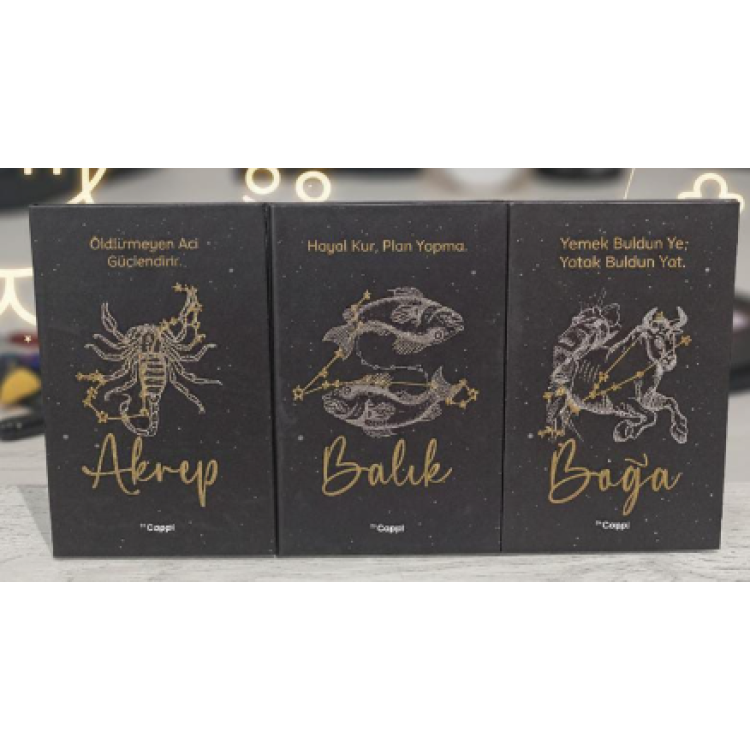 BYCAPPİ 14*21 BURÇLAR 160SY SERT KAPAK NOT DEFTERİ