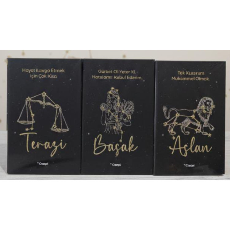 BYCAPPİ 14*21 BURÇLAR 160SY SERT KAPAK NOT DEFTERİ