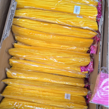 TEK RENK 30CM ŞÖNİL 100LÜ -SARI