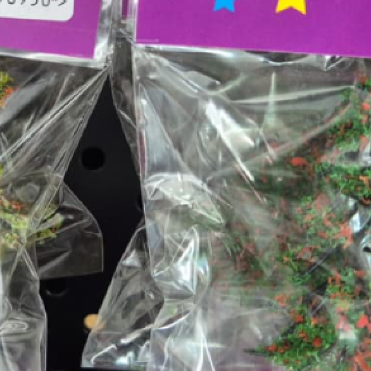 MAKET AĞAÇ 8 CM 2Lİ MAKET AĞAÇ 8 CM 2Lİ