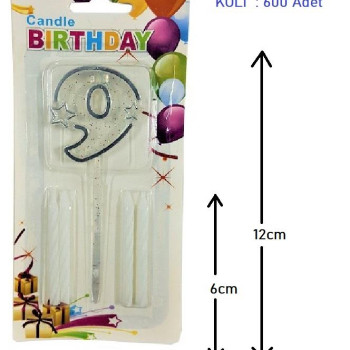 MİKA ŞEFFAF 9 RAKAM GÜMÜŞ MUM 12CM PK:12 KL:600 MİKA ŞEFFAF 9 RAKAM GÜMÜŞ MUM 12CM PK:12 KL:600