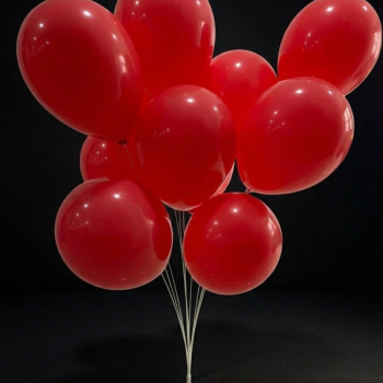 11 ÇUBUKLU VANTUZLU BALON STANDI
