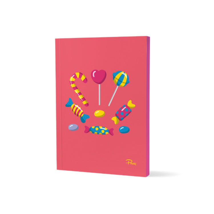 PRESTİJ PRJ-013 13,5X19,5 DEFTER *46