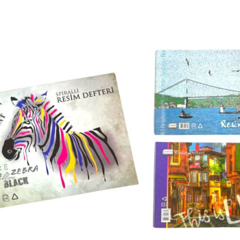 PASTEL KARTON KPK. RESİM DEFTERİ 35*50 SPİRALLİ *6 > PASTEL KARTON KPK. RESİM DEFTERİ 35*50 SPİRALLİ *6 >
