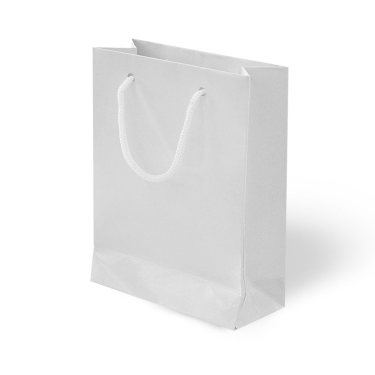 20x25x8 Karton Çanta 24lü -Beyaz- 20x25x8 Karton Çanta 24lü -Beyaz-