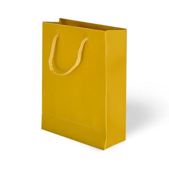 20x25x8 Karton Çanta 24lü -Altın- 20x25x8 Karton Çanta 24lü -Altın-