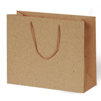54x38x12 Karton Çanta 10lu -Kraft- 54x38x12 Karton Çanta 10lu -Kraft-
