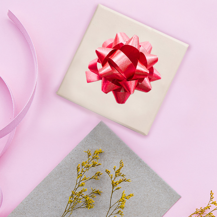 No:2 Fiyonk 100lü Plain -Kırmızı-