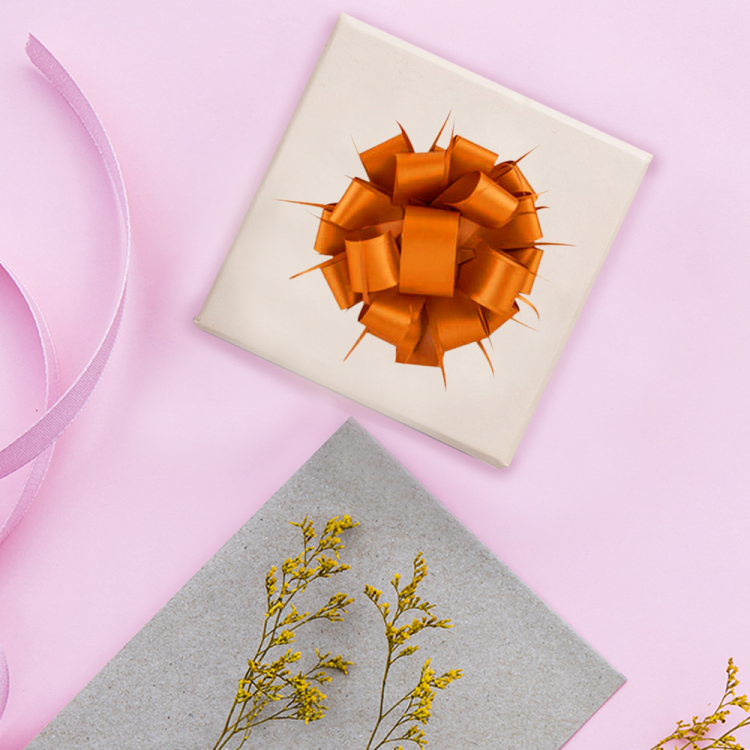 Pompom Fiyonk 24lü Plain -Karışık-