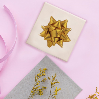 Kutup Yıldızı Fiyonk 24lü -Tek Renk-