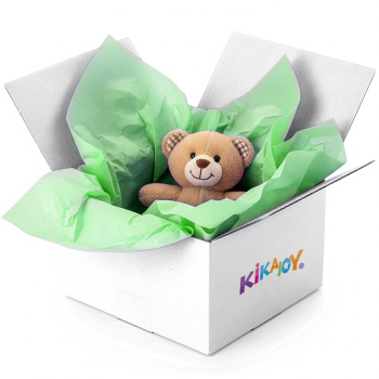 Renkli A4 Pelür Kağıt 250li -Açık Yeşil- Renkli A4 Pelür Kağıt 250li -Açık Yeşil-