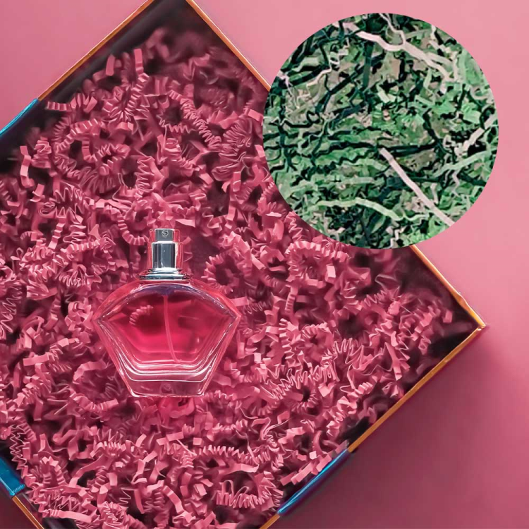 Zigzag Kırpık Kağıt 250gr -Yeşil Mix- Zigzag Kırpık Kağıt 250gr -Yeşil Mix-