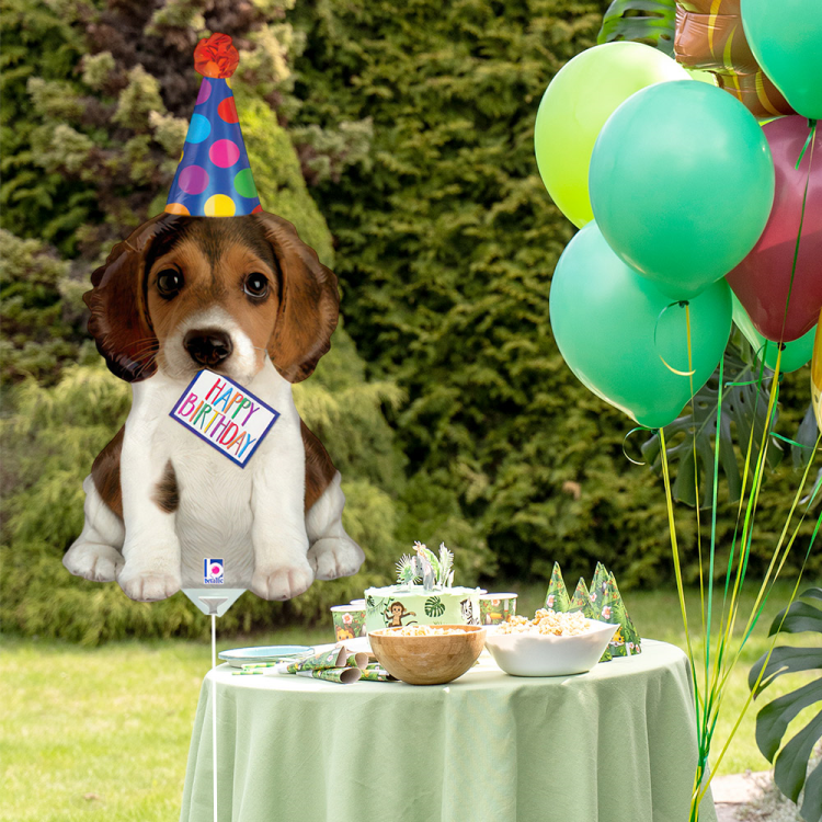 14 Grabo Folyo Balon -Birthday Puppy Mini- 14 Grabo Folyo Balon -Birthday Puppy Mini-