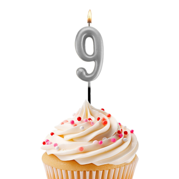 No:9 Çubuk Rakam Mum -Gümüş- No:9 Çubuk Rakam Mum -Gümüş-