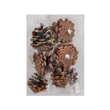 YB563 Kozalak Ağaç Süsü Kozalak 6cm 6lı YB563 Kozalak Ağaç Süsü Kozalak 6cm 6lı