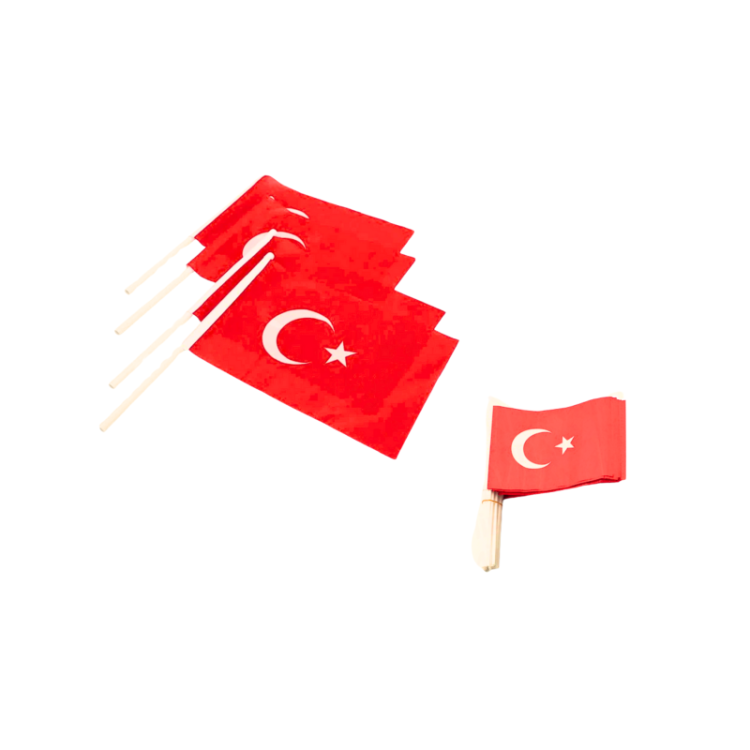 SİNO SOPALI KÜÇÜK  BAYRAK  80Lİ *36