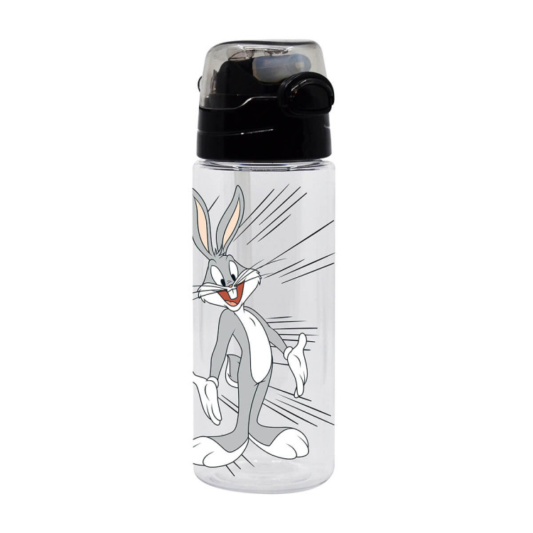 2281 LOONEY TUNES 700 ML MATARA *72