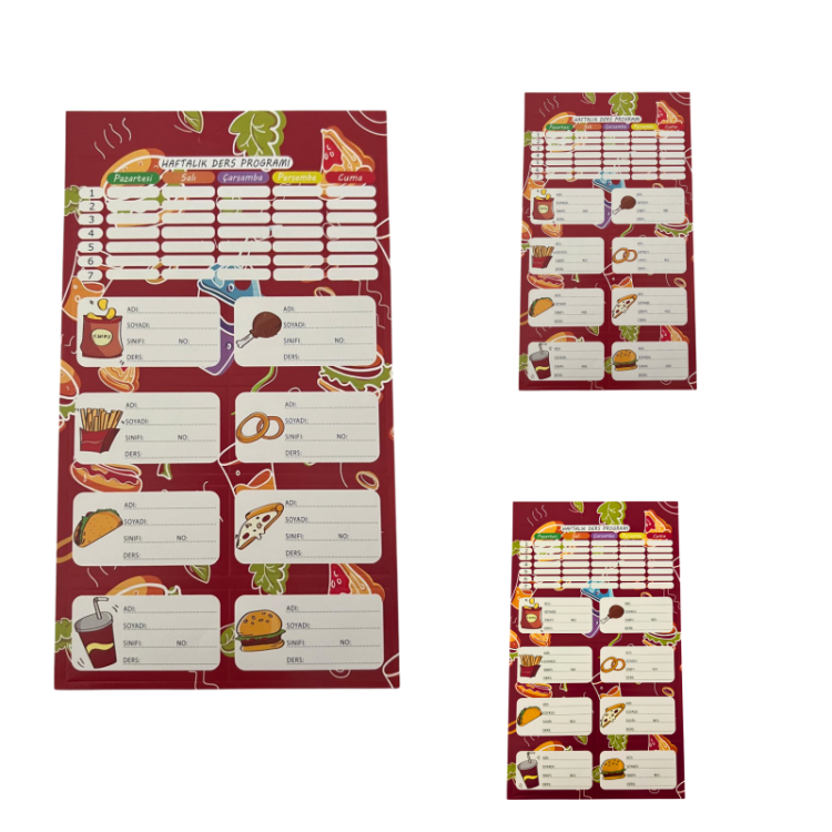 SVN BLİSTERLİ KLASİK OKUL ETİKETİ 60'LI (KIZ) 3 LÜ*50