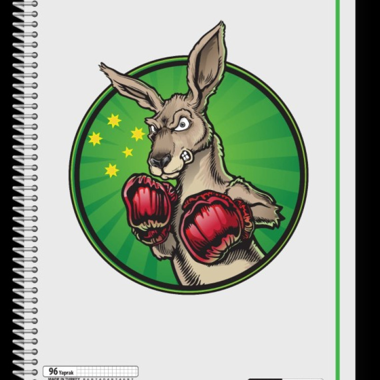 A-4 DAZZLE SPİRALLİ PP (ŞEFFAF) PELLUCİD 4 RENK 60 YP /1