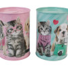 CEM PT-6258 PETS KUMBARA 24'LÜ