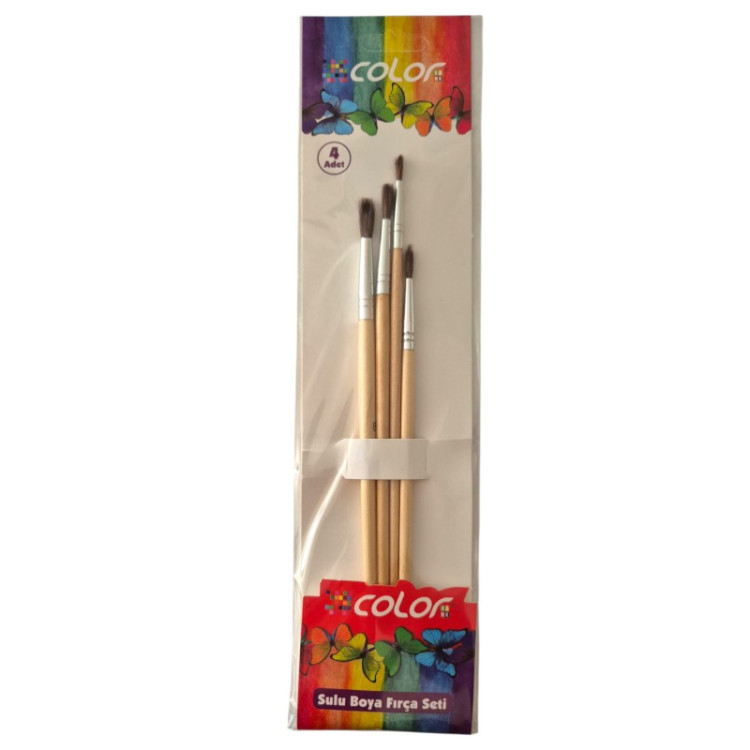 TMN COLORBANK CFR-4  FIRÇA SETİ 4LÜ 12Lİ*528