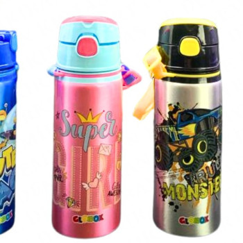 GLOBOX 3660 ALİMİNYUM MATARA 12'Lİ*4