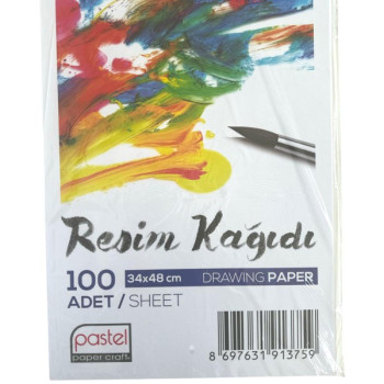 PASTEL 35*50 RESİM KAĞIDI 100'LÜ *15***********