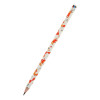 HAPPY GRAPHİX 21-0062-23 JUMBO KURŞUN KALEM 4B 3,5MM TİLKİ 30LU PAKET