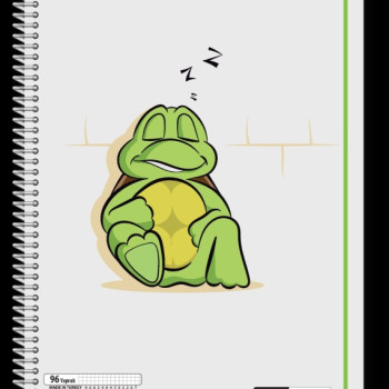 A-4 DAZZLE SPİRALLİ PP (ŞEFFAF) PELLUCİD 4 RENK 120 YP /0