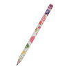 HAPPY GRAPHİX 21-0062-20 JUMBO KURŞUN KALEM 4B 3,5MM SOFRA 30LU PAKET