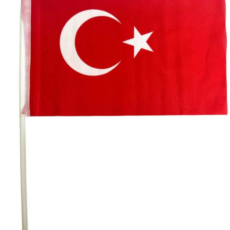 VATAN SOPALI BAYRAK BEZ 20X30 BAYRAK 10LU =