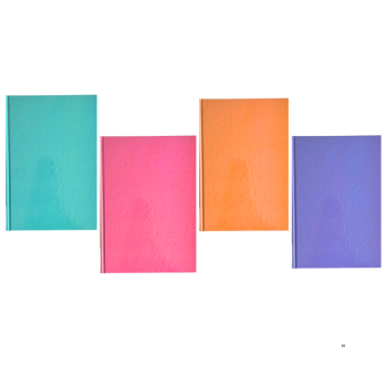 ELMA 20X28 RENK KUŞAĞI CİLTLİ 160 YPR.DÜZ