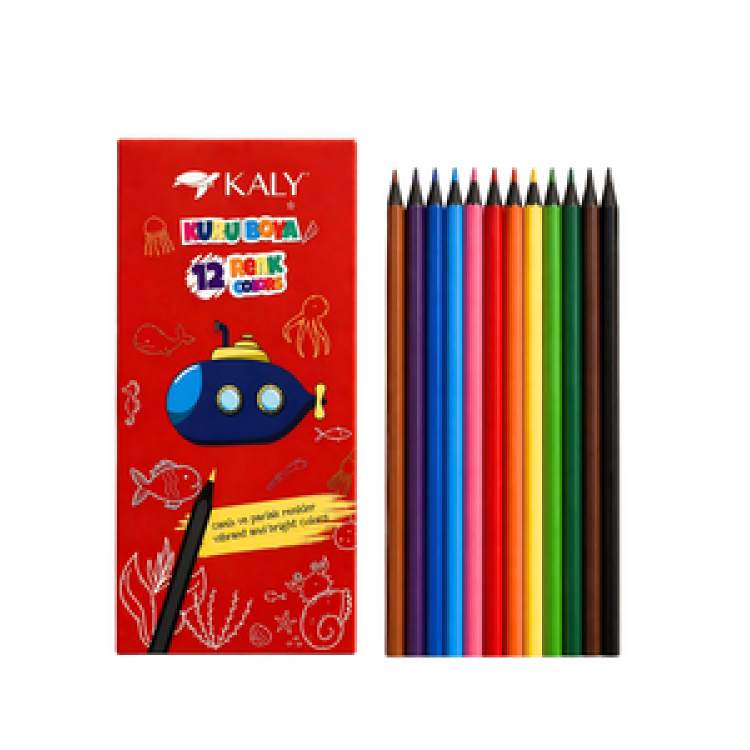SİLKA ART.612 KALY TAM NOY KURU BOYA 12'Lİ
