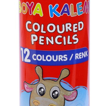 FATİH 33114 KURUBOYA 12 RENK TAM BOY TÜP 24'LÜ*6