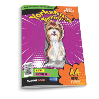 METOD DEFTERİ 60 YP.ÇİZGİLİ *6