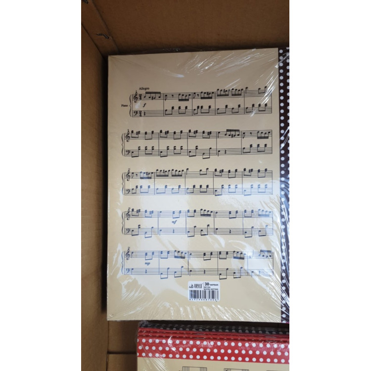 MÜZİK DEFTERİ KARTON KAPAK A4 BÜYÜK 30 YP. (BOX12) *DF