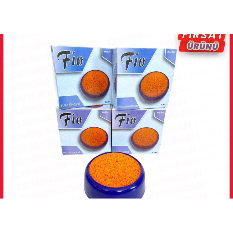 PUL PARA SÜNGERİ  /FİO (BOX12)