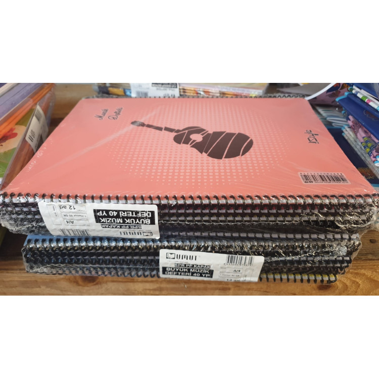 NEW STYLE A4 PP SPİRALLİ 40YP MÜZİK DEFTERİ (BOX12) *DF