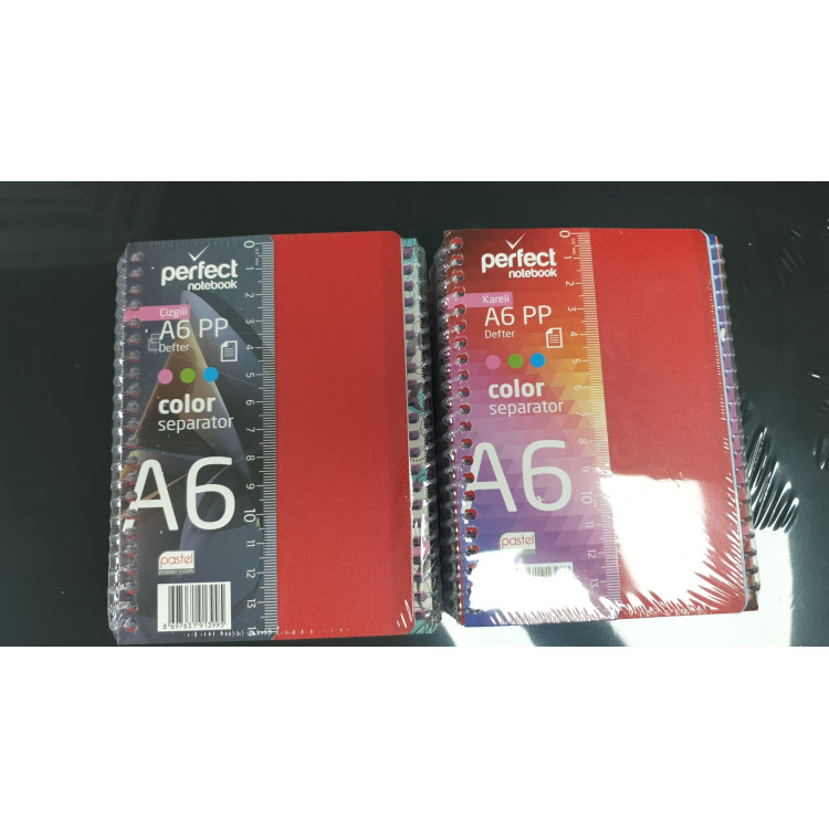 PASTEL AYRAÇLI A6 PP KAPAK SPİRALLİ NOT DEFTERİ (BOX12) KARELİ
