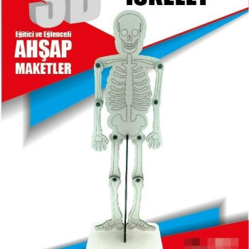 İSKELET AHŞAP MAKET İSKELET AHŞAP MAKET