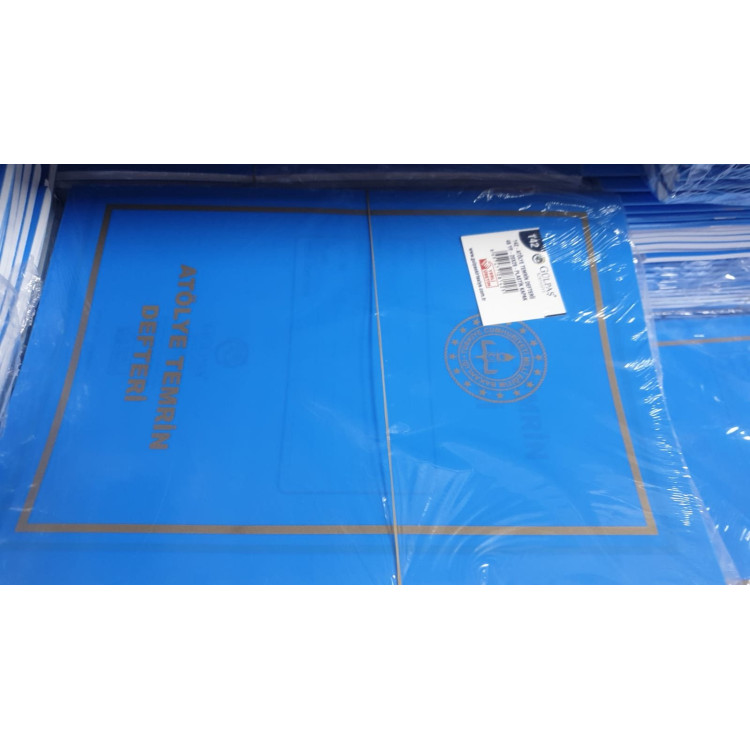 GÜLPAŞ 142 PP KAPAK ATELYE LABORATUVAR DENEY VE TEMRİN DEFTERİ 20x28 48YP 12Lİ ATÖLYE