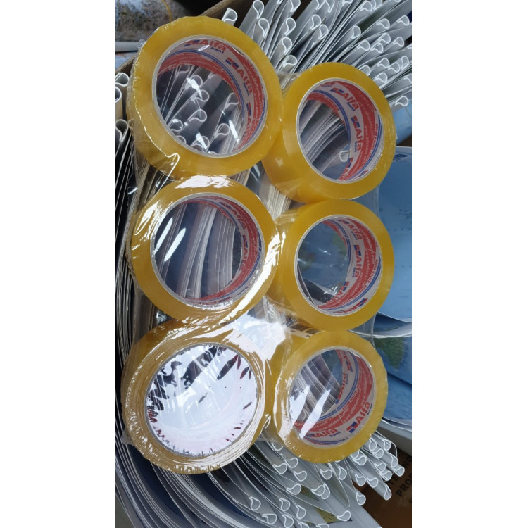 ALFA KOLİ BANT 100MT (BOX6)