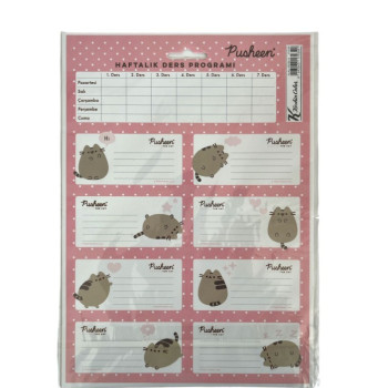 KESKİN PUSHEEN DERS PROG. ETİKET 3'LÜ PK:50'Lİ KESKİN PUSHEEN DERS PROG. ETİKET 3'LÜ PK:50'Lİ